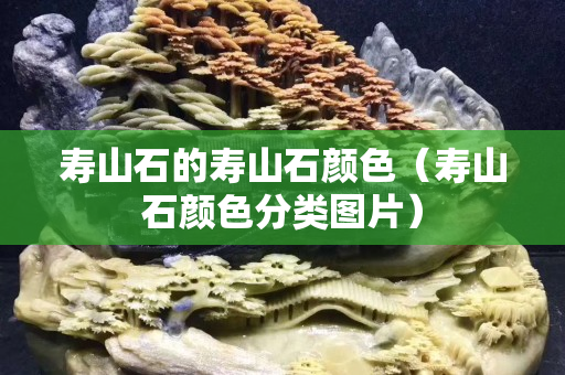 壽山石的壽山石顏色（壽山石顏色分類圖片）