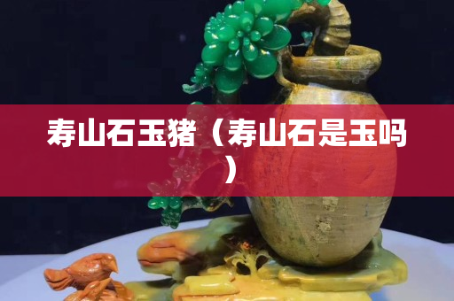 壽山石玉豬（壽山石是玉嗎）