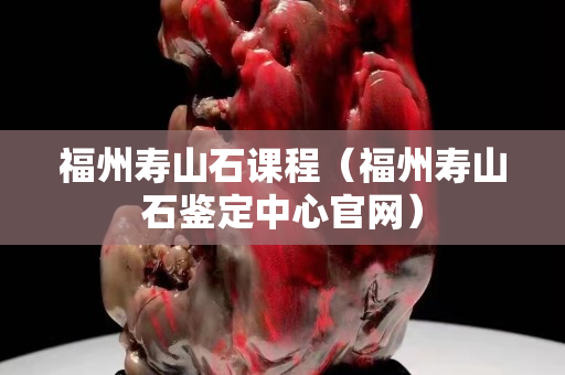 福州壽山石課程(福州壽山石鑒定中心官網) 福州壽山石課程(福州壽山石鑒定中心官網)