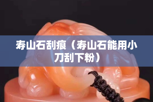 壽山石刮痕(壽山石能用小刀刮下粉) 壽山石刮痕(壽山石能用小刀刮下粉)