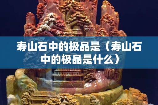 壽山石中的極品是（壽山石中的極品是什么）