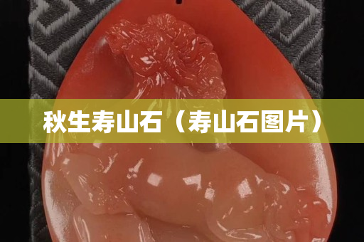 秋生壽山石（壽山石圖片）