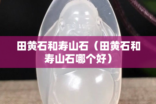田黃石和壽山石（田黃石和壽山石哪個好）