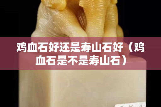 雞血石好還是壽山石好（雞血石是不是壽山石）