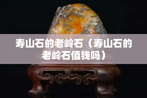 壽山石的老嶺石（壽山石的老嶺石值錢嗎）