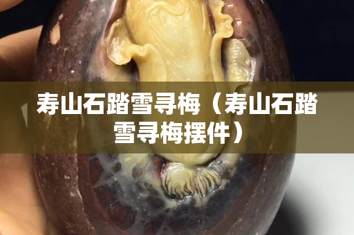 壽山石踏雪尋梅（壽山石踏雪尋梅擺件）