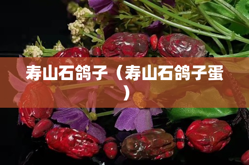 壽山石鴿子(壽山石鴿子蛋) 壽山石鴿子(壽山石鴿子蛋)