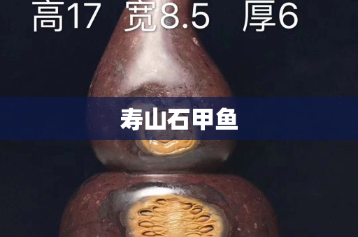 壽山石甲魚(yú)