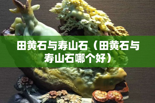 田黃石與壽山石(田黃石與壽山石哪個好) 田黃石與壽山石(田黃石與壽山石哪個好)