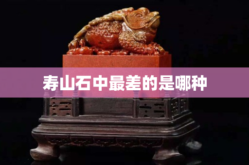 壽山石中最差的是哪種 壽山石中最差的是哪種