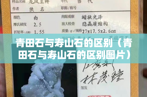 青田石與壽山石的區別（青田石與壽山石的區別圖片）
