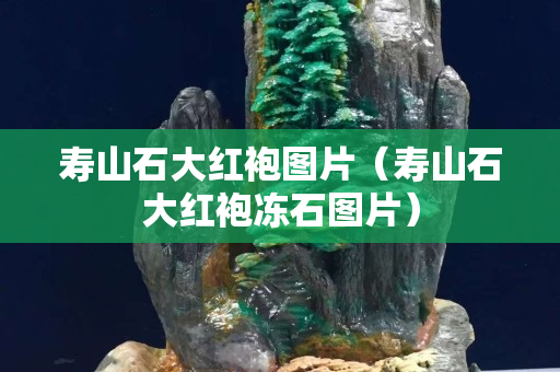 壽山石大紅袍圖片（壽山石大紅袍凍石圖片）