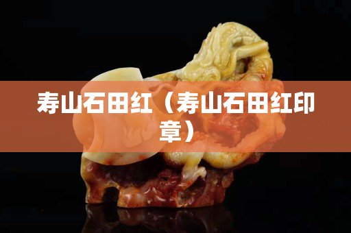 壽山石田紅(壽山石田紅印章) 壽山石田紅(壽山石田紅印章)