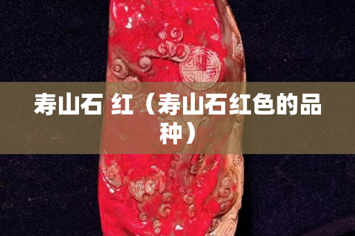 壽山石 紅(壽山石紅色的品種) 壽山石 紅(壽山石紅色的品種)