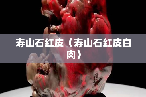 壽山石紅皮(壽山石紅皮白肉) 壽山石紅皮(壽山石紅皮白肉)