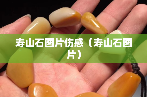 壽山石圖片傷感（壽山石圖片）