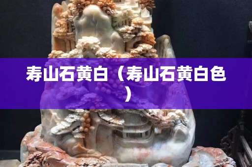 壽山石黃白（壽山石黃白色）