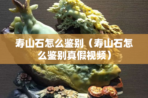 壽山石怎么鑒別(壽山石怎么鑒別真假視頻) 壽山石怎么鑒別(壽山石怎么鑒別真假視頻)