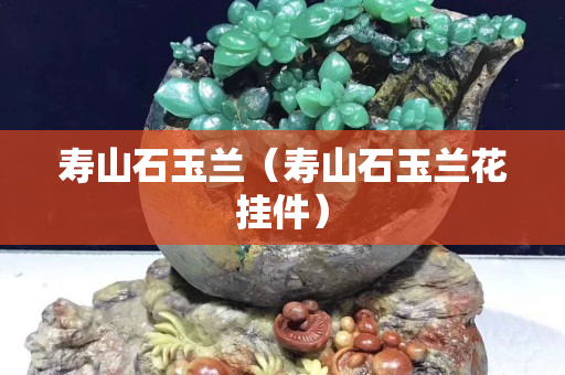 壽山石玉蘭(壽山石玉蘭花掛件) 壽山石玉蘭(壽山石玉蘭花掛件)