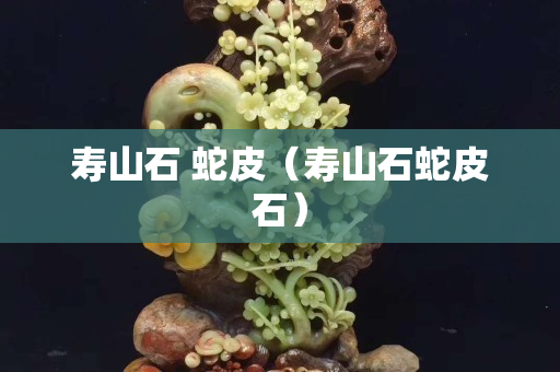 壽山石 蛇皮(壽山石蛇皮石) 壽山石 蛇皮(壽山石蛇皮石)