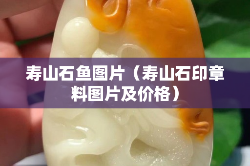 壽山石魚圖片（壽山石印章料圖片及價格）