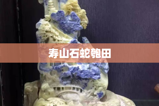 壽山石蛇匏田 壽山石蛇匏田