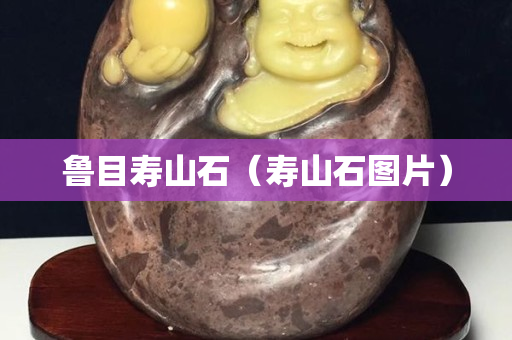 魯目壽山石(壽山石圖片) 魯目壽山石(壽山石圖片)