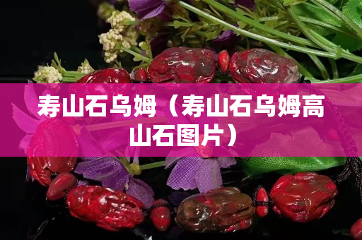 壽山石烏姆（壽山石烏姆高山石圖片）