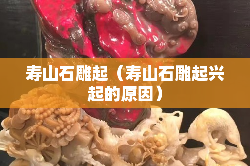 壽山石雕起（壽山石雕起興起的原因）