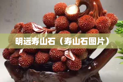 明遠壽山石(壽山石圖片) 明遠壽山石(壽山石圖片)