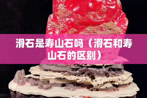 滑石是壽山石嗎（滑石和壽山石的區別）