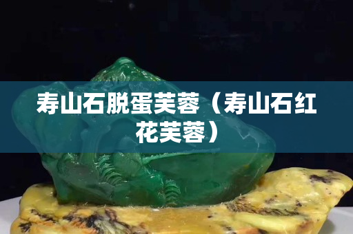 壽山石脫蛋芙蓉(壽山石紅花芙蓉) 壽山石脫蛋芙蓉(壽山石紅花芙蓉)