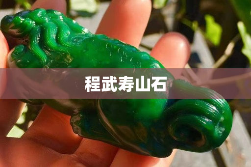 程武壽山石 程武壽山石