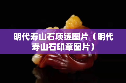 明代壽山石項鏈圖片(明代壽山石印章圖片) 明代壽山石項鏈圖片(明代壽山石印章圖片)