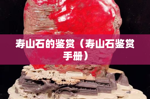 壽山石的鑒賞（壽山石鑒賞手冊(cè)）