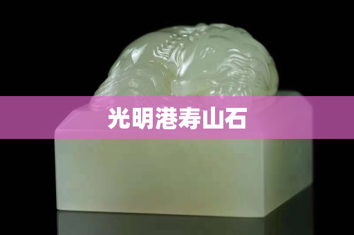 光明港壽山石 光明港壽山石