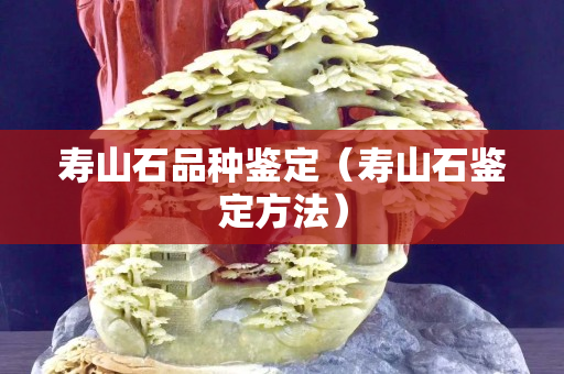 壽山石品種鑒定（壽山石鑒定方法）