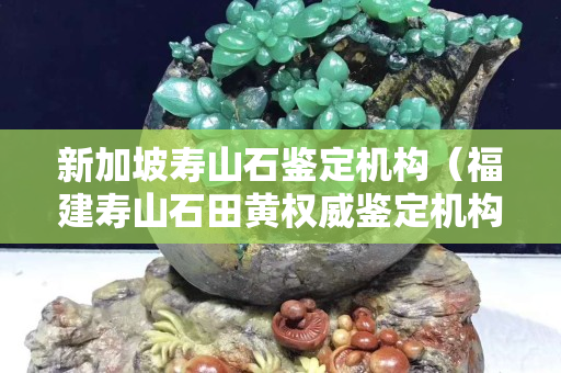 新加坡壽山石鑒定機構(福建壽山石田黃權威鑒定機構) 新加坡壽山石鑒定機構(福建壽山石田黃權威鑒定機構)