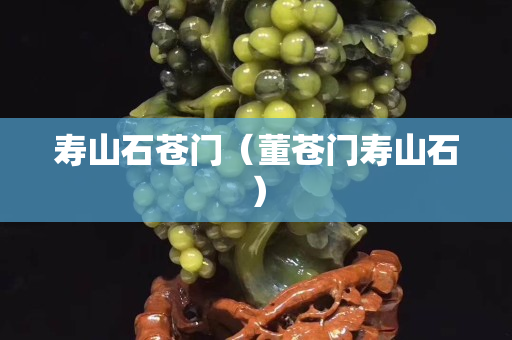 壽山石蒼門(董蒼門壽山石) 壽山石蒼門(董蒼門壽山石)