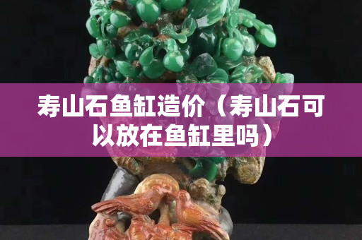壽山石魚缸造價(壽山石可以放在魚缸里嗎) 壽山石魚缸造價(壽山石可以放在魚缸里嗎)