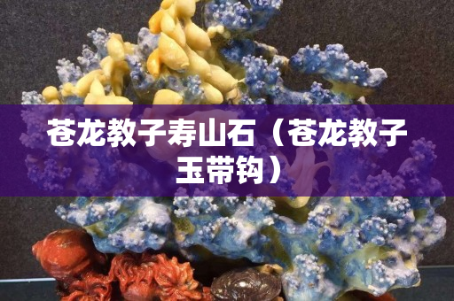 蒼龍教子壽山石（蒼龍教子玉帶鉤）