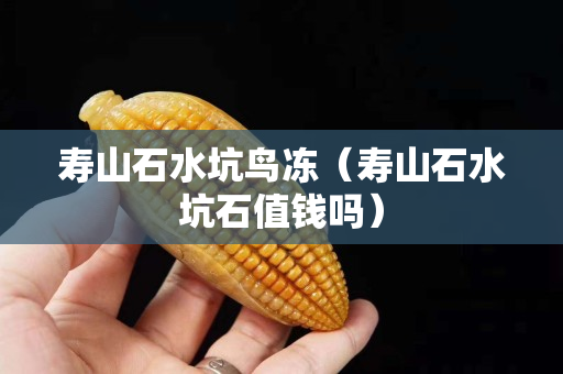 壽山石水坑鳥(niǎo)凍(壽山石水坑石值錢(qián)嗎) 壽山石水坑鳥(niǎo)凍(壽山石水坑石值錢(qián)嗎)