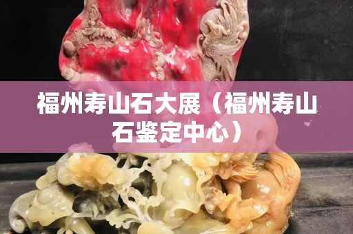 福州壽山石大展（福州壽山石鑒定中心）