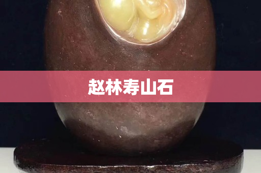 趙林壽山石