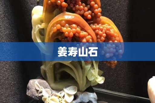 姜壽山石 姜壽山石