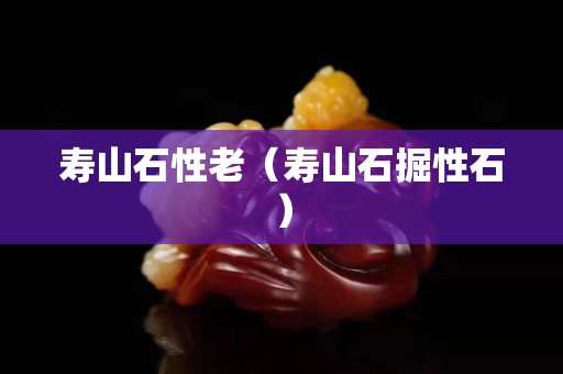 壽山石性老(壽山石掘性石) 壽山石性老(壽山石掘性石)