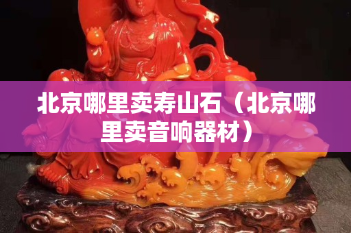 北京哪里賣壽山石(北京哪里賣音響器材) 北京哪里賣壽山石(北京哪里賣音響器材)