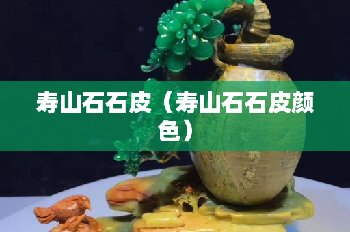 壽山石石皮(壽山石石皮顏色) 壽山石石皮(壽山石石皮顏色)