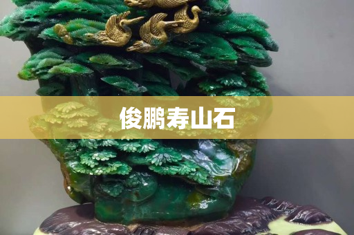 俊鵬壽山石 俊鵬壽山石