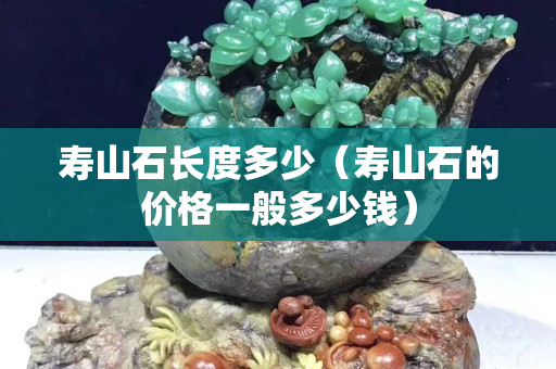 壽山石長度多少（壽山石的價格一般多少錢）